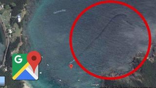 Google Maps: ¿'serpiente marina' apareció en medio del Oke Bay? | FOTOS