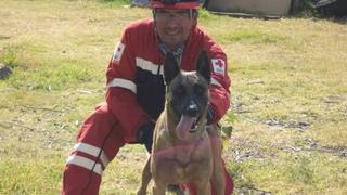 'Balto', el oficial canino de Oaxaca, apoyará en el rescate de sobrevivientes del terremoto en México