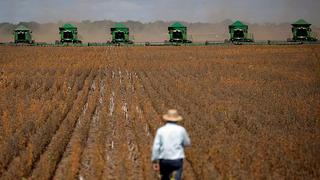 OMC da la razón a EE.UU. contra China sobre aranceles por importación de granos