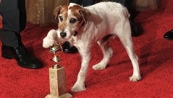 El can causó revuelo en las alfombras rojas de los Globos de Oro y los Oscar. (Internet)