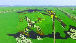 Pinturas gigantes 3D en arrozales impulsan turismo en China 