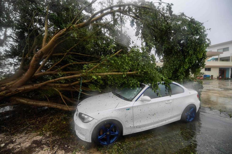 Un automóvil está cubierto debajo de un árbol caído después del paso del huracán Delta, en Cancún, estado de Quintana Roo, México. (AFP / PEDRO PARDO).