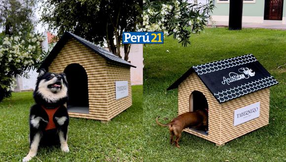 Tabernero sortea una casa acústica hecha de corchos para que mascotas no se estrese por la pirotecnia.