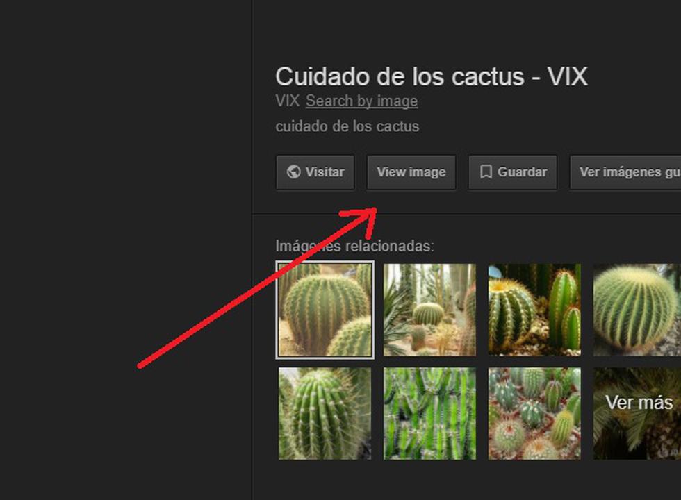 Google ha eliminado el botón 'ver imagen' de su buscador, lo que permitía ampliarla en una ventana aparte y tener una mejor calidad de la misma.