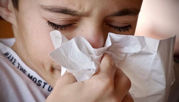 Se sugiere airear los espacios cuando las personas que padecen este tipo de alergias no estén presentes. (Foto: Pixabay)