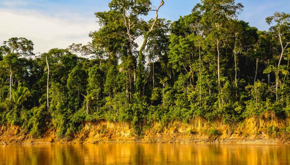 El Parque Nacional del Manu es una de las áreas naturales protegidas más biodiversas del mundo. (Foto: Sernanp)