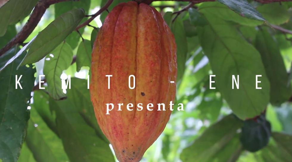 Cacao asháninka gana el Premio Ecuatorial otorgado por la ONU. (YouTube)