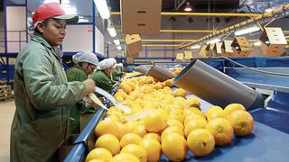 Exportación de jugos, néctares y pulpas creció 24.7% entre enero y mayo del 2022, según ADEX