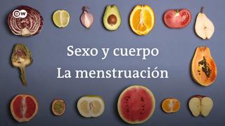La menstruación: Descubre todo relacionado al tema