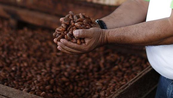 Minagri: Exportaciones de cacao cerrarán este año en más de US$ 300 millones. (Perú21)
