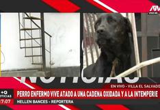 Vecinos piden ayuda para perro que vive encadenado en escaleras oxidadas  | VIDEO