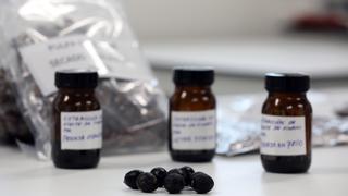 Madre de Dios: Investigadores obtienen aceite del fruto del Sinami para uso de la industria cosmética y farmacéutica