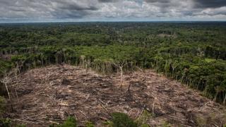 Ley Forestal que impacta en la Amazonía retornará a comisiones
