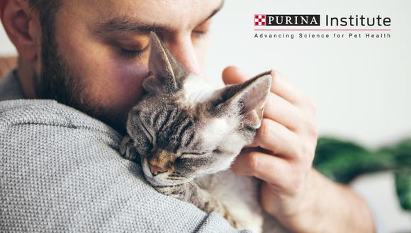 Según un estudio de Purina, el 97 % de los gatos alimentados con Pro Plan LiveClear mostraron niveles reducidos de Fel d 1 activo en su pelaje y caspa.