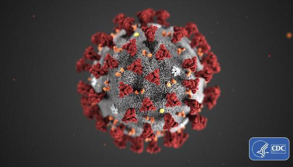 Este es un vistazo de la morfología ultraestructural del nuevo coronavirus, covid-19 (Foto: CDC)