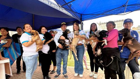 Perritos en adopción en La Victoria. (Foto: Andina)