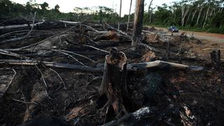Alemania recorta en US$39 millones fondos para preservación de selva amazónica en Brasil