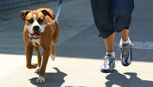 Día del Perro: 'Caminatón 3k' para celebrar al engreído de cuatro patas en Surco (USI)
