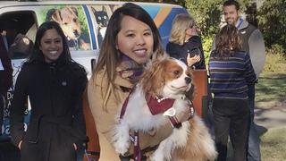 Ébola: Nina Pham se reunió con su perro ‘Bentley’, que estaba en cuarentena