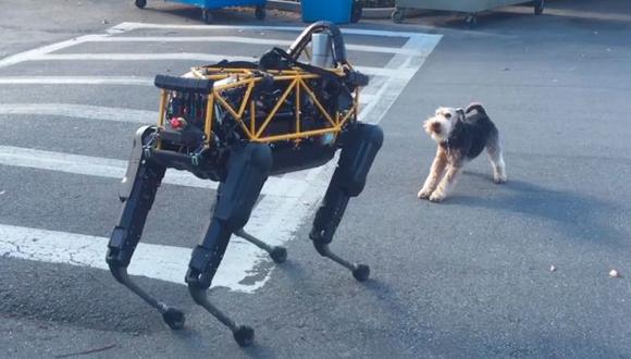 YouTube: ¿Qué ocurre cuando un perro robótico se encuentra por primera vez con un perro real? (YouTube/jurvetson)