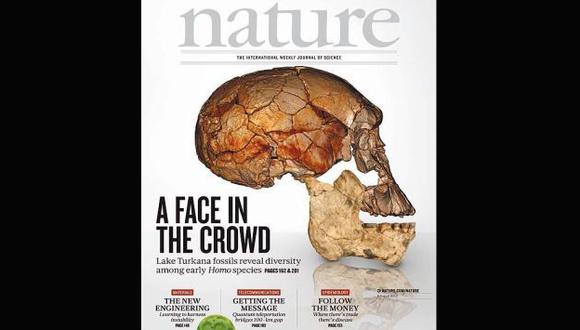 CLAVE. Cráneo reconstruido de un homínido en base al hallazgo. (Revista Nature)
