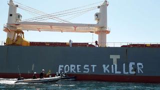 Francia: desalojan activistas que bloqueaban un buque con soja de Brasil en un puerto francés