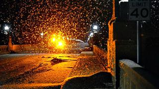 EEUU: La pesadilla de estar rodeado de millones de insectos se hizo realidad [Video]