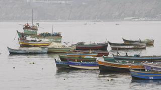 Segunda temporada de pesca de anchoveta inicia mañana con cuota de 2.78 millones de toneladas