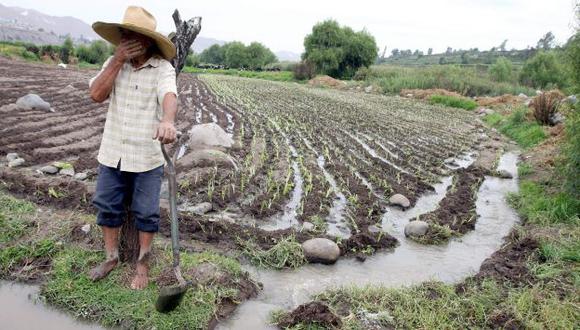 Apoyo al campo. Producción agrícola no se puede paralizar por fenómenos naturales, dijo el ministro. (Miguel Idme)