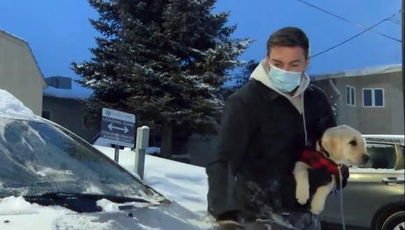"Los ángeles de la nieve" limpian a diario los autos del personal médico en medio de la ola de frío que azota EEUU. (Foto: Captura KPAX-TV)