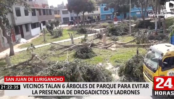 La comuna de San Juan de Lurigancho investigará para determinar a los responsables de la tala de árboles. (24 Horas)
