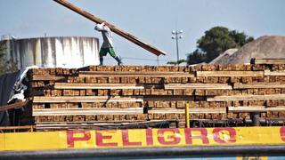 Madre de Dios: dictan 36 meses de prisión preventiva para catorce funcionarios implicados en tráfico de madera