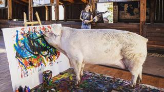 Conoce a Pigcasso: La cerdita que pinta cuadros de hasta 27 mil dólares