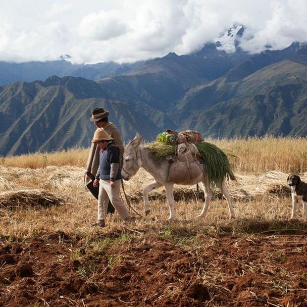 La película del director peruano César Galindo titulada "Willaq Pirqa, el cine de mi pueblo" se presentará como parte de las cintas seleccionadas HECHO EN PERÚ.