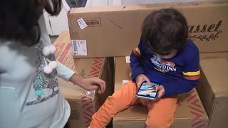Niño de 2 años jugaba con celular de su madre y compró cerca de US$ 2000 en muebles