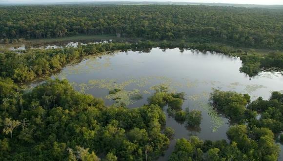 La selva tropical contiene raros depósitos de “carbono irrecuperable” de la Tierra (John Martin, Conservación Internacional)