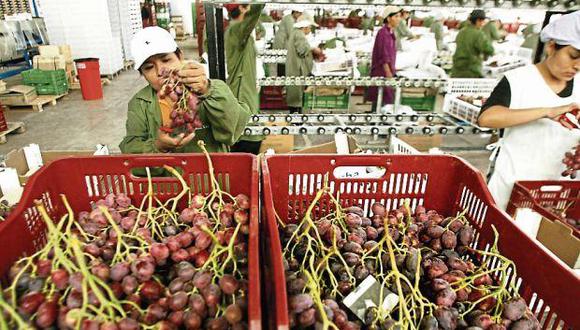 La agroexportación peruana creció 21% en enero de este año frente al mismo mes del 2021. (Foto: GEC)