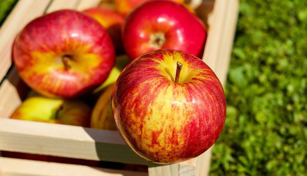 El pelar gran cantidad de manzanas puede convertirse en una experiencia agotadora, pero este hombre encontró la solución. (Foto: Pixabay)