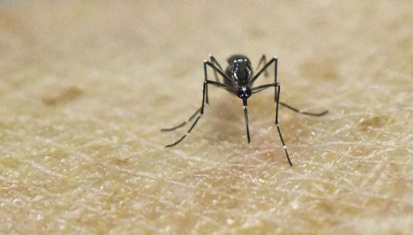 Las barreras geográficas ayudan a que en Chile se contraiga el virus del zika. (AFP)