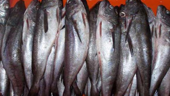 Imarpe emitió un informe en el que recomendó se suspenda la pesca de merluza. (Foto: Andina)