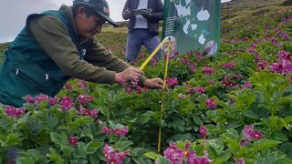 INIA: Más de 13 mil agricultores mejoran calidad de suelos agrarios