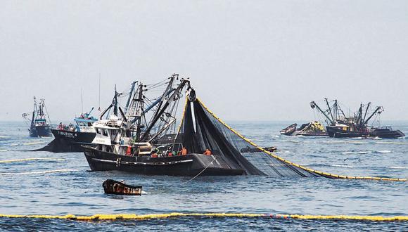 En junio de 2020, la captura de anchoveta ascendió a 1 millón 331 mil toneladas. (Foto: GEC)