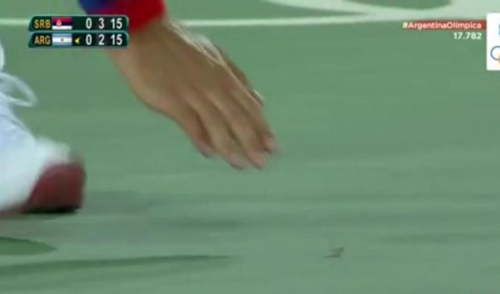 Novak Djokovic se detiene para salvar a mariposa en pleno partido ante Juan Martín del Potro. (captura)