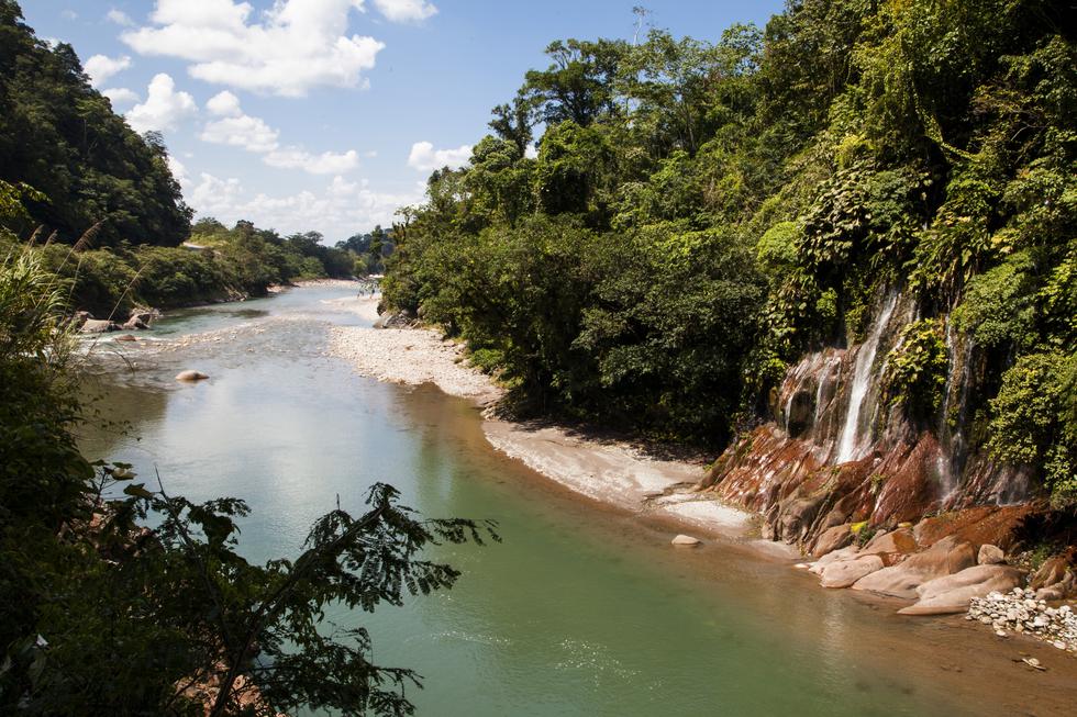 Sus caídas de aguas alimentan los ríos Huallaga y Ucayali. (Foto: PromPerú)