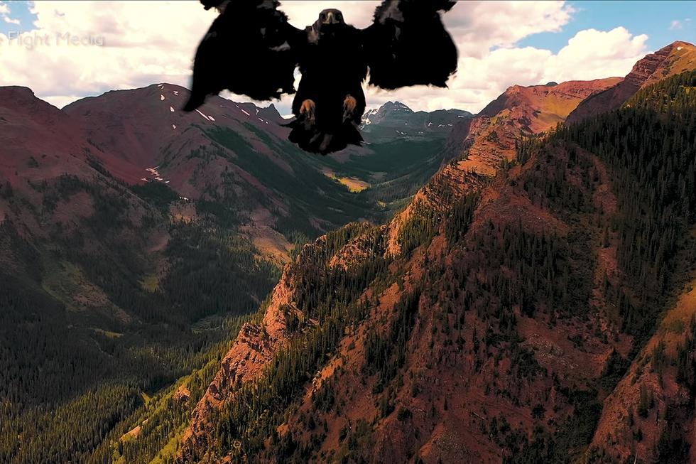 Dron fue ferozmente atacado por un águila y registró la impresionante escena en video. (YouTube | Caters Clips)