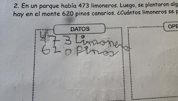 El problema de matemáticas de segundo de primaria “imposible” de resolver. (Facebook | @VMengual)