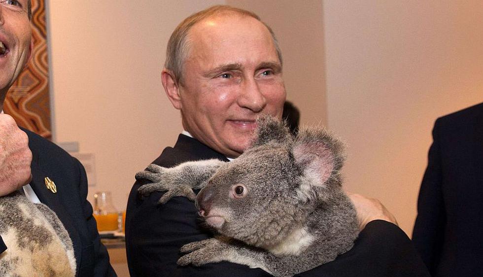 Vladimir Putin con un koala antes de la cumbre G20. (Reuters)