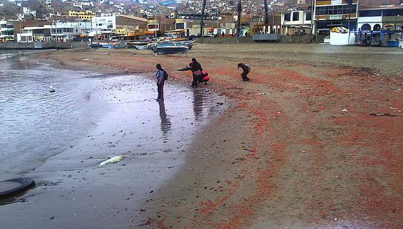 Sostienen que muerte de crustáceos es recurrente y conocida por pescadores. (Difusión)