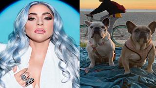 Lady Gaga recupera sanos y salvos a sus perros robados