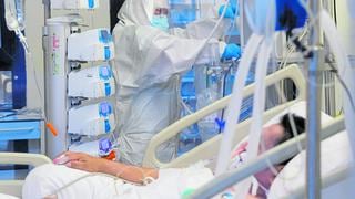 Trasplantes de órganos cayeron bruscamente durante la pandemia de coronavirus